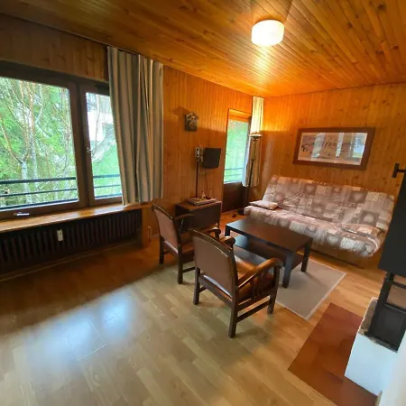 Appartement La Clusaz, 2 Pièces, 5 Personnes - Fr-1-459-197