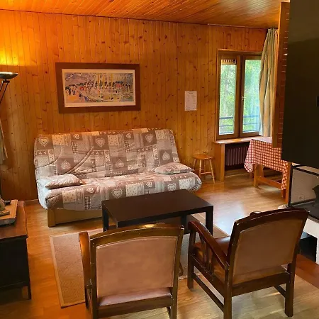Appartement La Clusaz, 2 Pièces, 5 Personnes - Fr-1-459-197 *